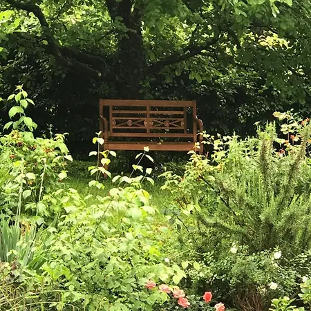 Gartenwohnung Gundelfingen (Breisgau)