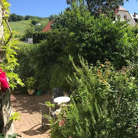 Gartenwohnung Apartamento