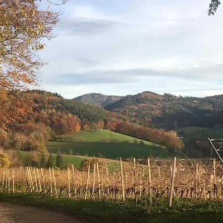 Apartamento Gartenwohnung *
