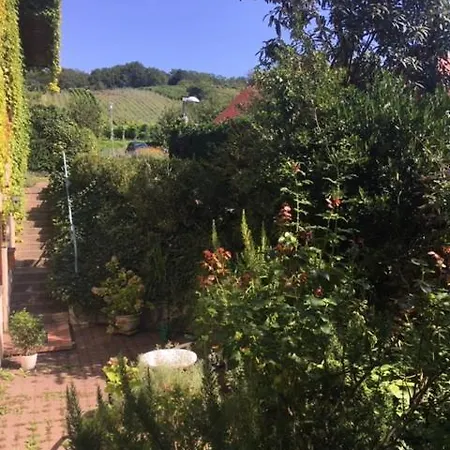 Gartenwohnung Apartamento